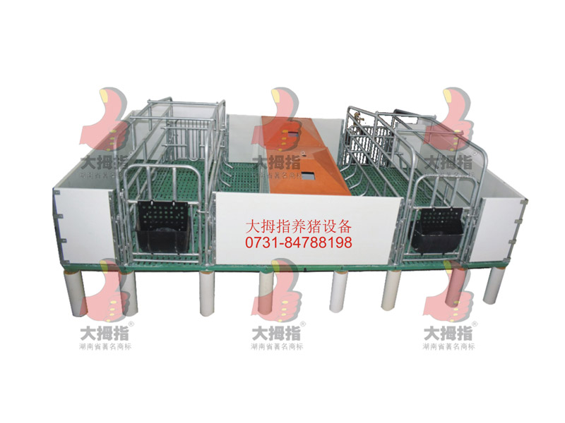 Ĵָ(f)ϲĸia(chn)o(w)